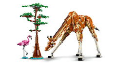 LEGO® Creator Wild Safari Animals 3in1 set-Animals, Fine Motor Skills, Games & Toys, Gifts for 8+, LEGO®-Learning SPACE