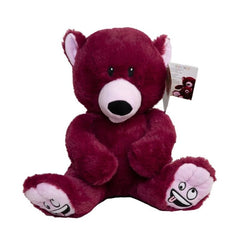 Silly Bear - Mood Bear-Additional Need, Comfort Toys, Eco Friendly, Emotions & Self Esteem, Helps With, Mood Bear, PSHE, Social Emotional Learning-Learning SPACE