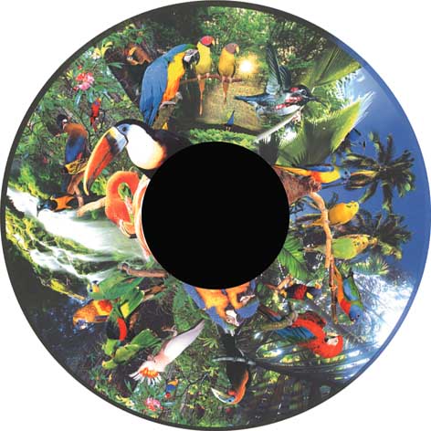 Aura and Solar Projector - 6 Inch Magnetic Picture Wheel-[OPTI] Kinetics,Autism,Chill Out Area,Matrix Group,Neuro Diversity,Sensory Projectors,Teenage Projectors,Underwater Sensory Room-Tropical Birds-VAT Exempt-FGM7264-Learning SPACE