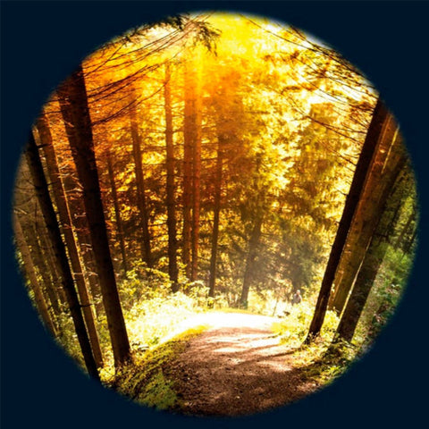 Aura and Solar Projector - 6 Inch Magnetic Picture Wheel-[OPTI] Kinetics,Autism,Chill Out Area,Matrix Group,Neuro Diversity,Sensory Projectors,Teenage Projectors,Underwater Sensory Room-Seasonal Wood-VAT Exempt-FGM7091-Learning SPACE