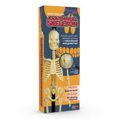 Build Your Own - Anatomical Skeleton-Early Science, Games & Toys, Human Body, Science, Science Activities-Learning SPACE