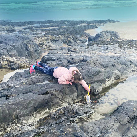 Butterfly Nets Pack of 6-Educational Play,EDUK8,Nature,Outdoor Play,Science,Science Activities,World & Nature-Learning SPACE