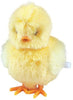 Clockwork Hopping Chick-Discontinued,Pocket money,Seasons,Spring,Stock,Tobar Toys-Learning SPACE