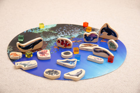 Discovery Table Sea Bundle-AllSensory,Calming & Anxiety,Dropship,Light Box Accessories,SCOTEXCEL,Sensory,sensory activity,Sensory Light Up Toys,Sensory Room Furniture,Sensory Seeking,TickiT,Visual Sensory Toys-Learning SPACE