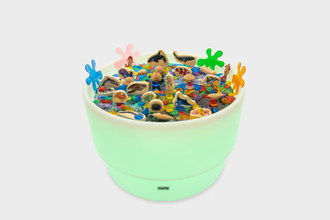 Discovery Table Sea Bundle-AllSensory,Calming & Anxiety,Dropship,Light Box Accessories,SCOTEXCEL,Sensory,sensory activity,Sensory Light Up Toys,Sensory Room Furniture,Sensory Seeking,TickiT,Visual Sensory Toys-Learning SPACE