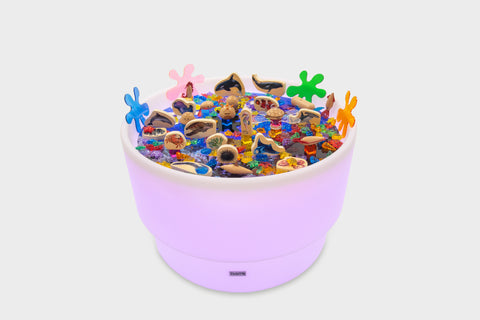 Discovery Table Sea Bundle-AllSensory,Calming & Anxiety,Dropship,Light Box Accessories,SCOTEXCEL,Sensory,sensory activity,Sensory Light Up Toys,Sensory Room Furniture,Sensory Seeking,TickiT,Visual Sensory Toys-Learning SPACE