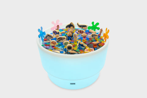 Discovery Table Sea Bundle-AllSensory,Calming & Anxiety,Dropship,Light Box Accessories,SCOTEXCEL,Sensory,sensory activity,Sensory Light Up Toys,Sensory Room Furniture,Sensory Seeking,TickiT,Visual Sensory Toys-Learning SPACE