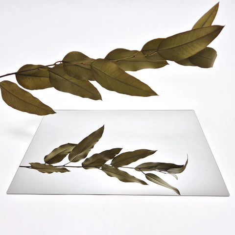 Double Sided Plastic Mirrors Pack of 4-Classroom Resources,Creative Thinking,Educational Classroom Materials,Educational Play,EDUK8,Fine Motor Skills,Science,Science Activities,Visual Fun-Learning SPACE