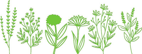 Flower Wall Decal-Dropship,Nature Sensory Room,Sticker,Wall & Ceiling Stickers,Wall Decor-Green-52x20 cm-A19330-GreenXS-Learning SPACE