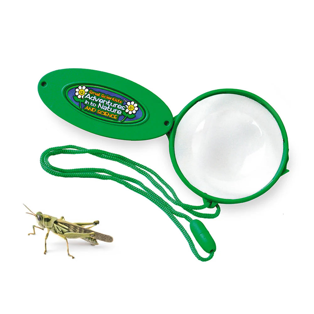 Folding Magnifiers – Handy Tools for Curious Explorers (Packs of 6 or 12)-Early Science,EDUK8,Forest School & Outdoor Garden Equipment,Imaginative Play,Outdoor Classroom,Outdoor Toys & Games,Science,Science Activities-Learning SPACE