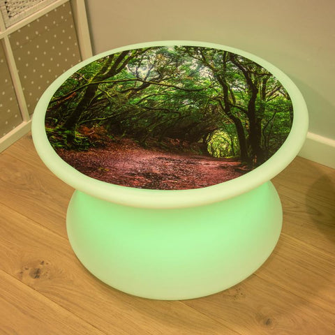 Forest Discovery Play Mat-Light Box Accessories,Playmat,TickiT,Visual Sensory Toys-Learning SPACE