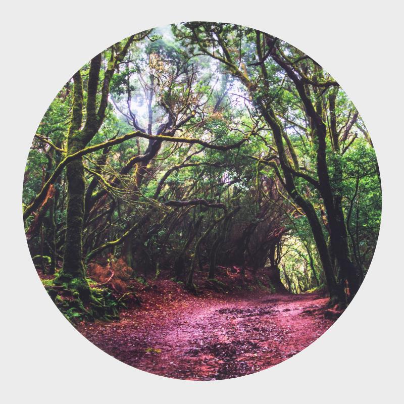 Forest Discovery Play Mat-Light Box Accessories,Playmat,TickiT,Visual Sensory Toys-Learning SPACE