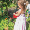 Gardening Children's Red Watering Can-Bigjigs Toys,Calmer Classrooms,Forest School & Outdoor Garden Equipment,Garden Tools,Messy Play,Outdoor Sand & Water Play,Pollination Grant,SCOTEXCEL,Seasons,Sensory Garden,Spring,Stock,Toy Garden Tools,Water & Sand Toys-Learning SPACE