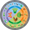 Life Cycles 2m Carpet-Dropship,Educational Carpet,Kit For Kids,Mats & Rugs,Multi-Colour,Round,Rugs,Wellbeing Furniture,World & Nature-Learning SPACE