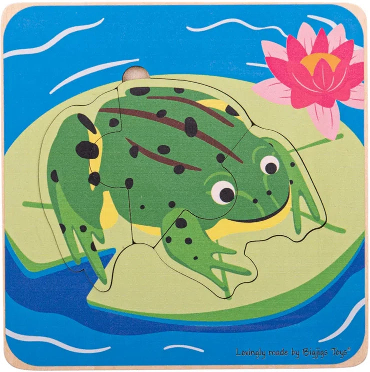 Lifecycle Layer Puzzle - Frog-13-99 Piece Jigsaw,2-12 Piece Jigsaw,Bigjigs Toys,Games & Toys,SCOTEXCEL,Sound. Peg & Inset Puzzles,Stock,World & Nature-Learning SPACE