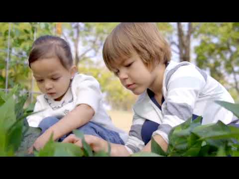 Little Garden-Calmer Classrooms, Forest School & Outdoor Garden Equipment, Greenhouses & Planters, Helps With, Pollination Grant, Sensory Garden-Learning SPACE