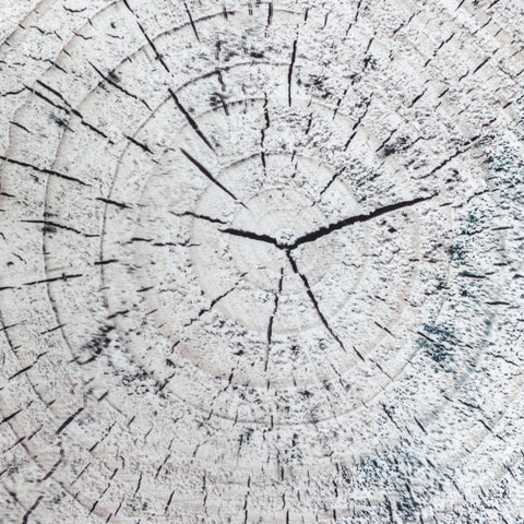 Log Carry Cushions - Pack of 6-Bean Bags & Cushions,Cushions,Dropship,Eden Learning Spaces,Mats,Nature,Nature Learning Environment,Nature Sensory Room,Nurture Room,Sit Mats,Stock,Wellbeing Furniture,World & Nature-Learning SPACE