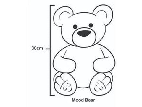 Love Bear - Mood Bear-Stuffed Toys-Additional Need,Calming & Anxiety,Calming and Relaxation,Comfort Toys,Eco Friendly,Emotions & Self Esteem,excell2,Games & Toys,Helps With,Mood Bear,Plush,PSHE,Social Emotional Learning,Social Stories & Games & Social Skills-Learning SPACE