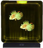Lumina Square Light-Up Fish Tank – 2 Tropical Fish-AllSensory,Lumina,Playlearn,Sensory Light Up Toys,Stock,Visual Fun,Visual Sensory Toys-Learning SPACE