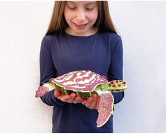 Mini Build Your Own - Hawksbill Turtle Eco Friendly Cardboard Slot Together Kit-Arts & Crafts, Craft Activities & Kits, Eco Friendly, Engineering & Construction, Gifts for 8+, Learning Activity Kits, Paper Engine, S.T.E.M, Technology & Design, World & Nature-Learning SPACE