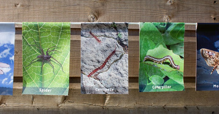 Minibeasts Showerproof Bunting-Cosy Direct,Cosy Outdoor,Forest School & Outdoor Garden Equipment,Outdoor Classroom,Outdoor Play-Learning SPACE