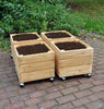 Mobile Square Planters-Cosy Direct,Cosy Outdoor,Greenhouses & Planters,Pollination Grant,Spring-Learning SPACE