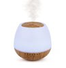 Multi Function Aroma Diffuser Lamp-Calming & Anxiety,Calming and Relaxation,Sensory Light Up Toys,Sensory Smell Equipment,Teenage Speakers,Visual Sensory Toys-Learning SPACE