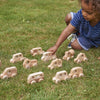 Natural Wooden Vehicles Set (12Pk)-Atelier,Cars & Transport,Cosy Direct,Small World,TickiT-Learning SPACE