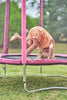 Plum® Pink Junior Trampoline and Enclosure – 4ft-Bounce,Featured,Plum Play,Plum Products Ltd,Trampolines-Learning SPACE