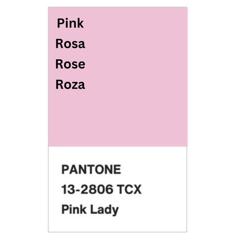 Safe Place Bed Model 100 - Special Needs Bed-Additional Need,Additional Support,Autism,Physical Needs,Sleep Issues-Learning SPACE