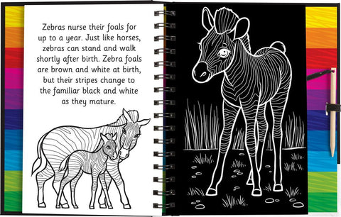 Scratch and Draw Animals: Creative Art Activity Book-Arts & Crafts, Gifts for 5-7 Years Old, Primary Arts & Crafts, Primary Books & Posters-Learning SPACE