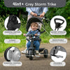 TP Zoomee 4 In 1 Deluxe Trike (UK Mainland Only)-Baby Ride On's & Trikes,Dropship,Early Years. Ride On's. Bikes. Trikes,Ride On's. Bikes & Trikes,Ride Ons,TP Toys,Trikes-Learning SPACE