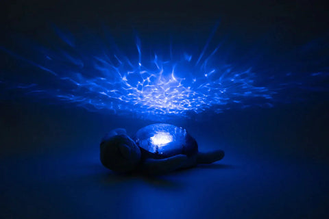 Tranquil Turtle® - Aqua (USB C Rechargeable)-Comfort Toys,Games & Toys,Night Light,Plush,Sensory Light Up Toys,Sensory Projectors,Sleep Issues,Visual Sensory Toys-Learning SPACE