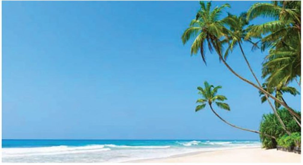 Wall Hanging Beach Backdrop-Classroom Displays,Dropship,Furniture,Wall Decor,Willowbrook-Learning SPACE