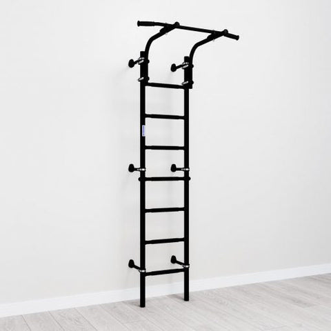 Wall Mounted Climbing Ladder-Indoor Swings,Movement Breaks,Sensory Climbing Equipment,Teen & Adult Swings-Learning SPACE