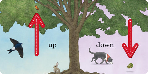 We're Going on a Bear Hunt: My First Opposites Board Book-Baby Books & Posters,Early Reading Books,Tactile Toys & Books-Learning SPACE