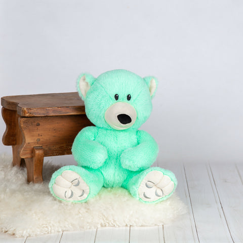 Calm Bear - Mood Bear-Additional Need,Calming & Anxiety,Calming and Relaxation,Comfort Toys,Eco Friendly,Emotions & Self Esteem,excell2,Games & Toys,Helps With,Mood Bear,PSHE,Social Emotional Learning,Social Stories & Games & Social Skills-Learning SPACE