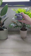 Squishy Bead Dinosaur Head