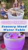 Sensory Mood Discovery Table