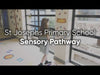 Main Sensory Pathway Pack: 20-30m