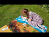 Colour & Wipe Dinosaur Playmat